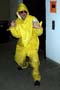 1yellowfred