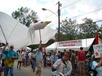 DSC01243